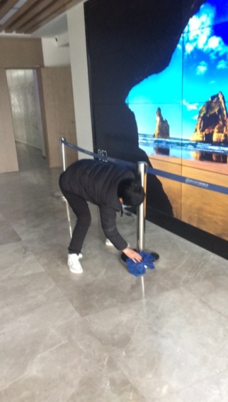 315.jpg