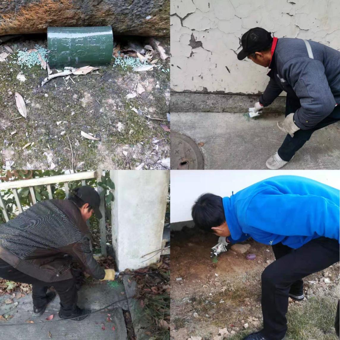 灭鼠图片.jpg